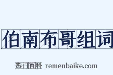 伯南布哥组词是什么意思的图片